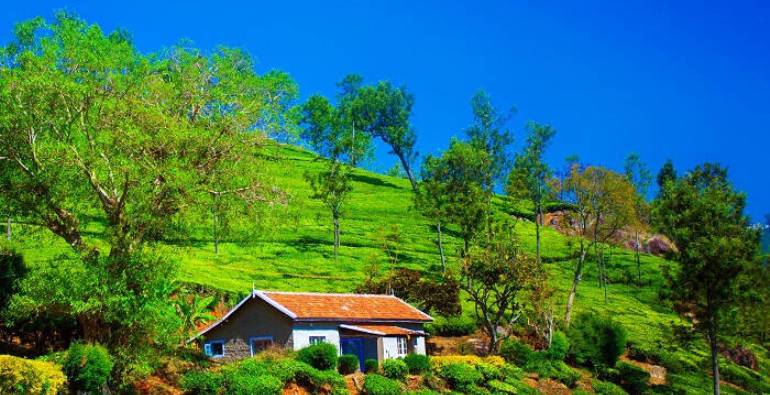Coonoor visit
